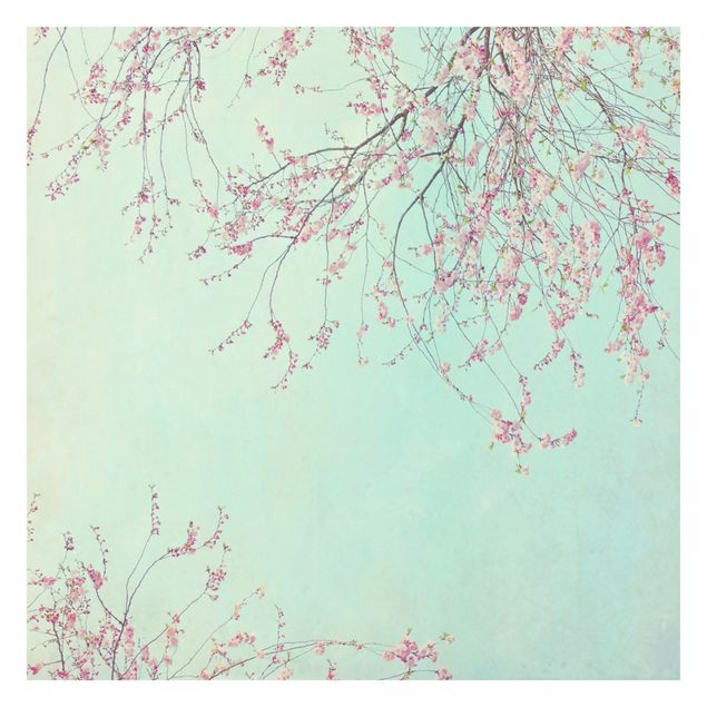 Wallpaper - Cherry Blossom Yearning
