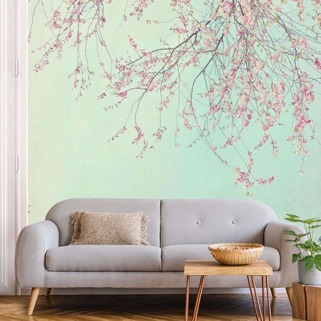 Wallpaper - Cherry Blossom Yearning