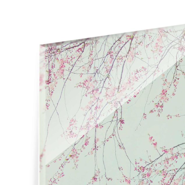 Glass print - Cherry Blossom Yearning