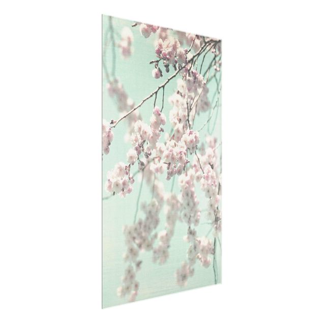Glass print - Dancing Cherry Blossoms On Canvas