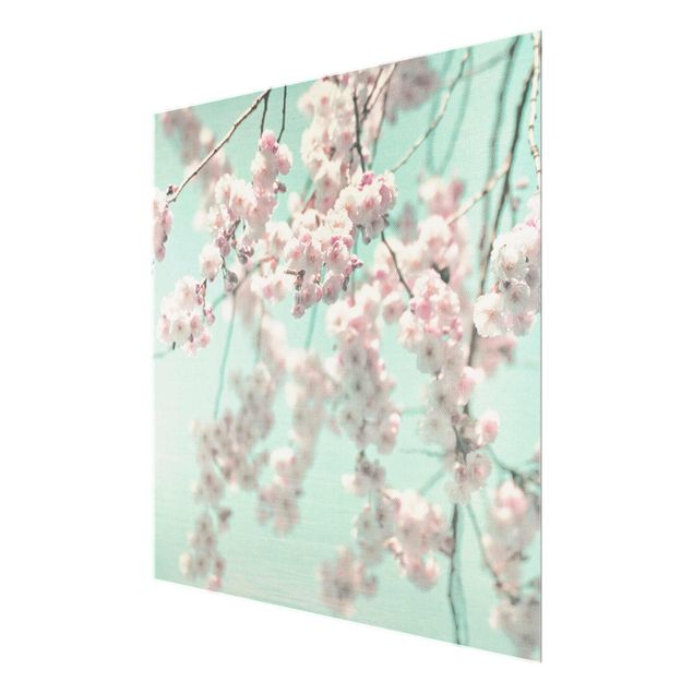 Glass print - Dancing Cherry Blossoms On Canvas