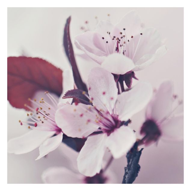 Walpaper - Cherry Blossom Branch Antique Pink
