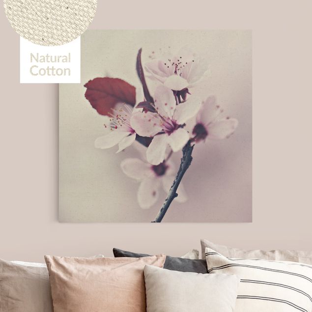 Natural canvas print - Cherry Blossom Branch Antique Pink - Square 1:1