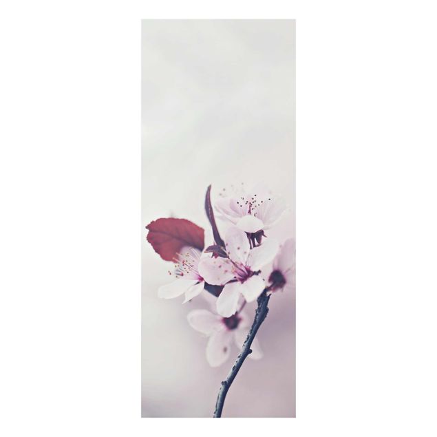Glass print - Cherry Blossom Branch Antique Pink