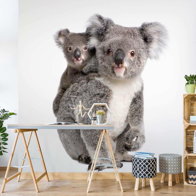 Wallpaper - Koala Bears