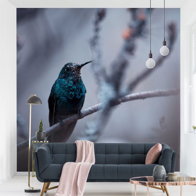 Wallpapers Hummingbird In Winter