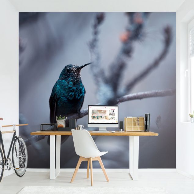 Wallpaper - Hummingbird In Winter