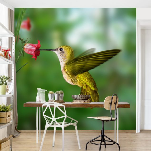 Wallpaper - Hummingbird And Flower