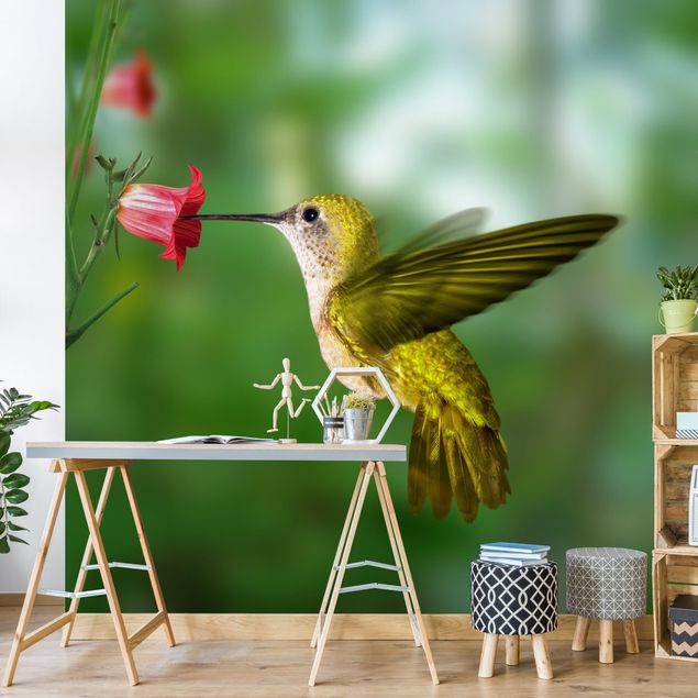 Wallpaper - Hummingbird And Flower