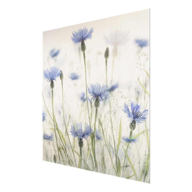 Glass print - Cornflowers And Grasses In A Field