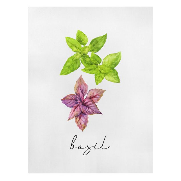 Canvas print - Herbs Illustration Basil