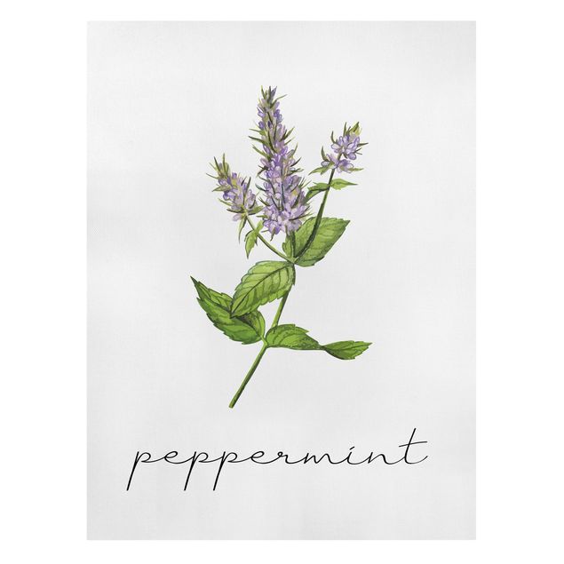 Canvas print - Herbs Illustration Pepper Mint