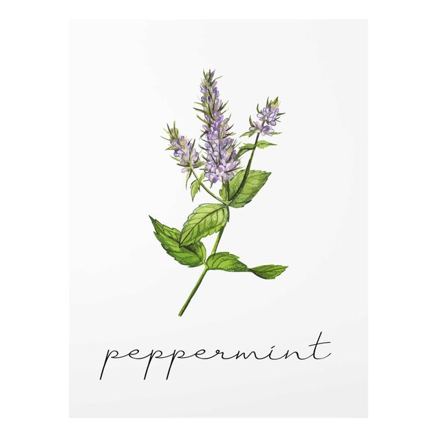 Glass print - Herbs Illustration Pepper Mint