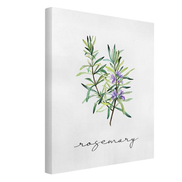 Canvas print - Herbs Illustration Rosemary