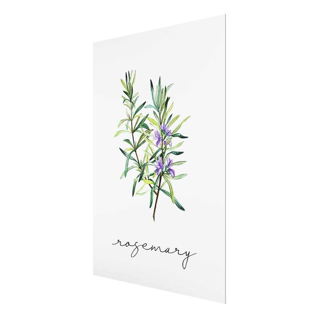 Glass print - Herbs Illustration Rosemary