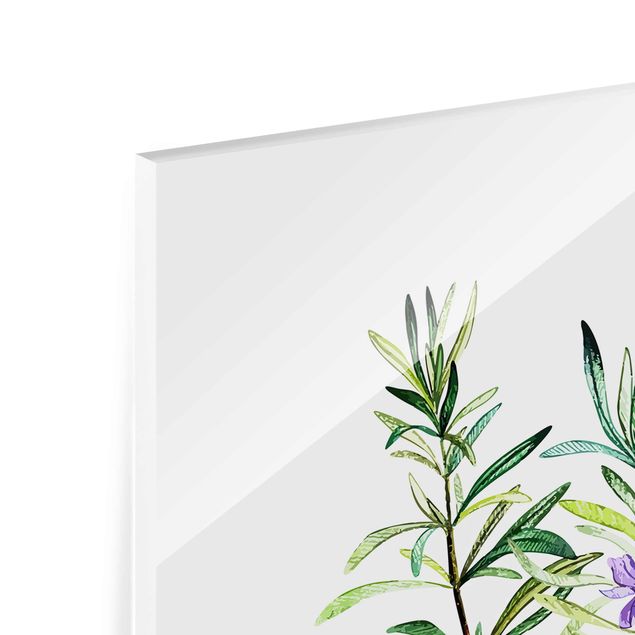 Glass print - Herbs Illustration Rosemary
