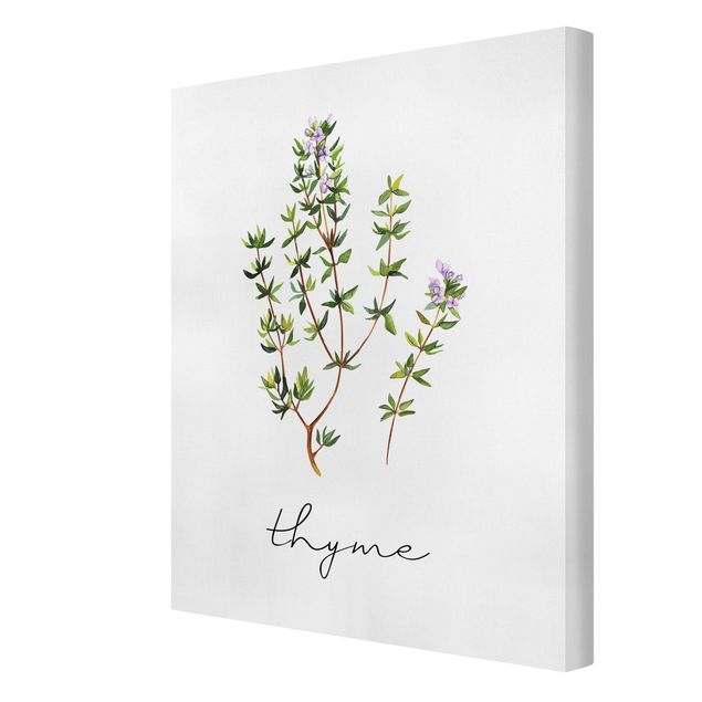 Canvas print - Herbs Illustration Thyme