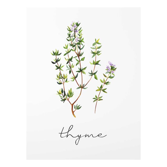 Glass print - Herbs Illustration Thyme