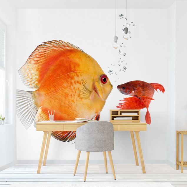Wallpapers Kissing Fish