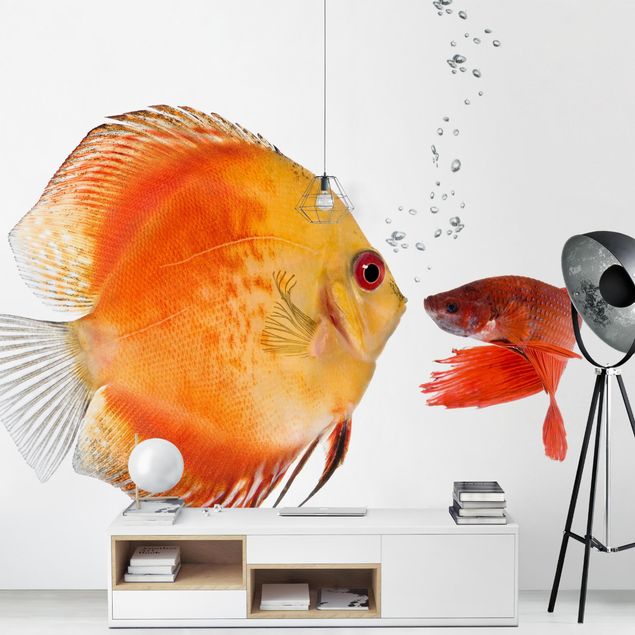 Wallpaper - Kissing Fish