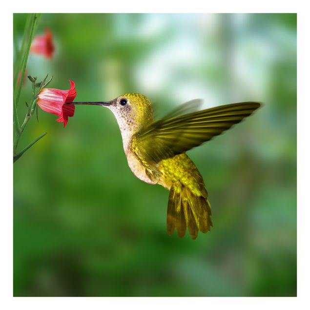 Window decoration - Hummingbird And Flower