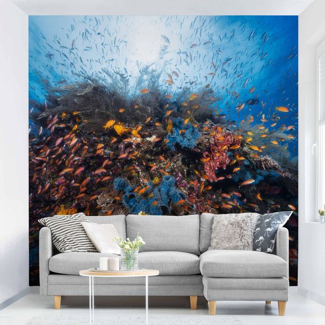 Wallpapers Lagoon With Fish