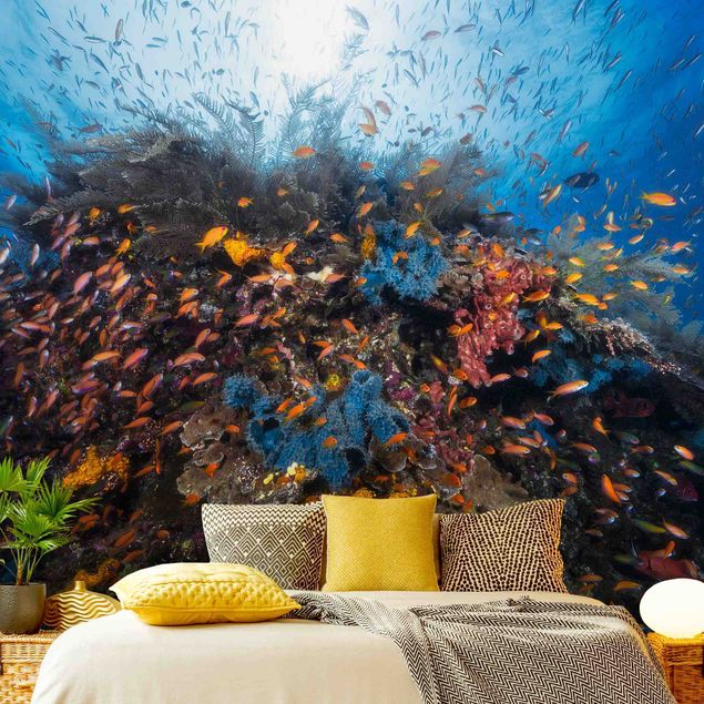 Wallpaper - Lagoon With Fish