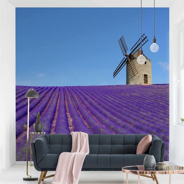Wallpapers Lavender Scent In The Provence