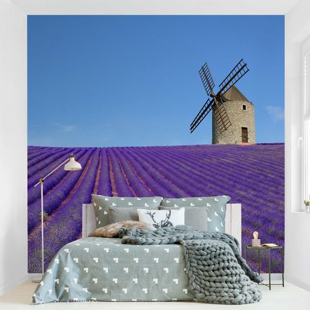 Wallpaper - Lavender Scent In The Provence