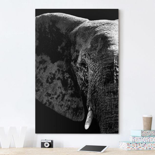 Print on canvas - African Elephant black and white