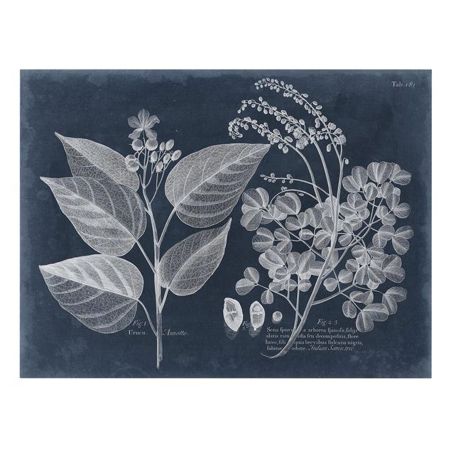 Print on canvas - Foliage Dark Blue - Annotto