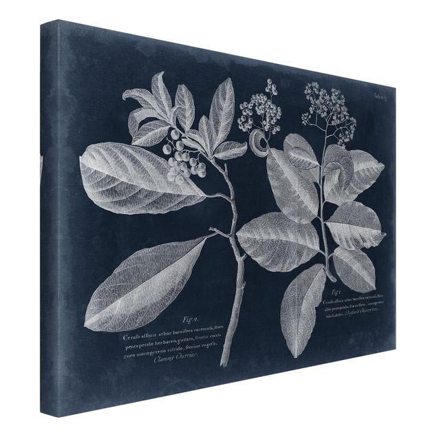 Print on canvas - Foliage Dark Blue - Kordie Department