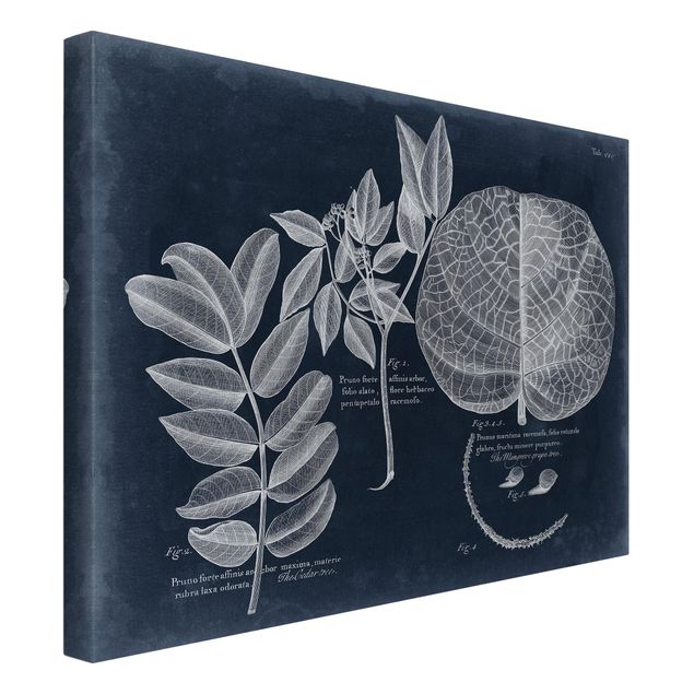Print on canvas - Foliage Dark Blue - Mangrove