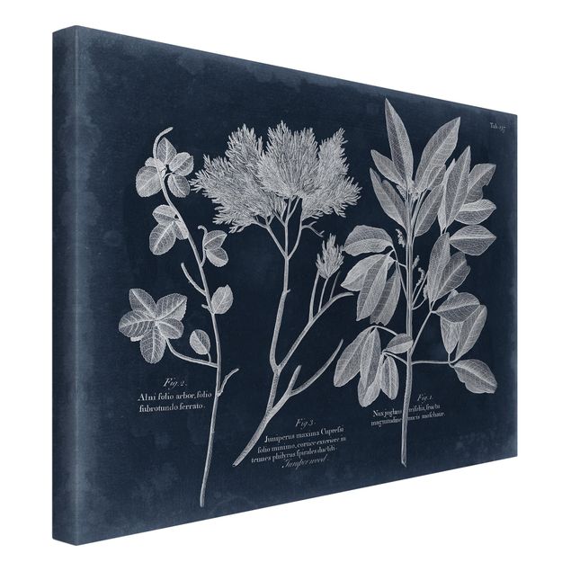 Print on canvas - Foliage Dark Blue - Juniper