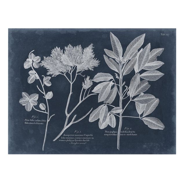 Print on canvas - Foliage Dark Blue - Juniper