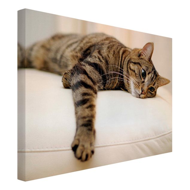 Print on canvas - Cat Chill Out