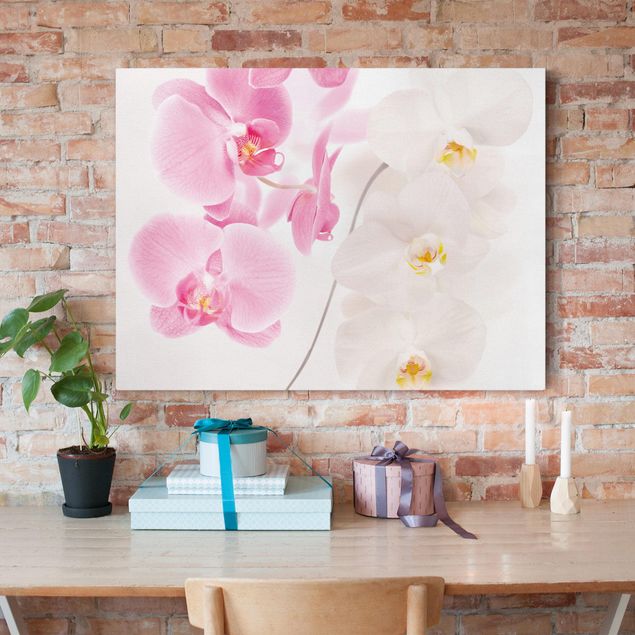 Print on canvas - Delicate Orchids