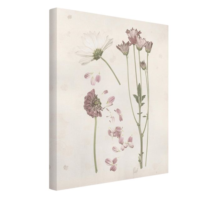 Print on canvas - Herbarium In Pink II