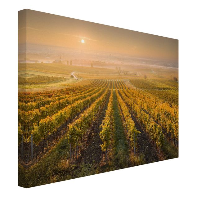 Print on canvas - Autumnal Vineyards Near Vienna