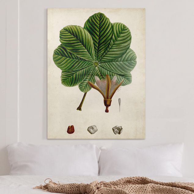 Print on canvas - Deciduous Poster II