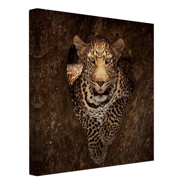 Print on canvas - Leopard Resting On A Tree
