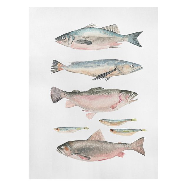 Print on canvas - Seven Fish In Watercolour I
