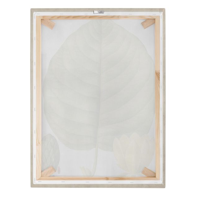 Print on canvas - Tableau Leaf Flower Fruit I