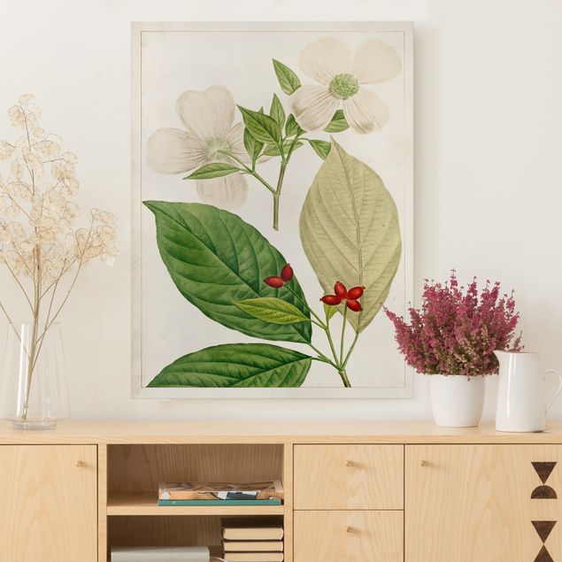 Print on canvas - Tableau Leaf Flower Fruit III
