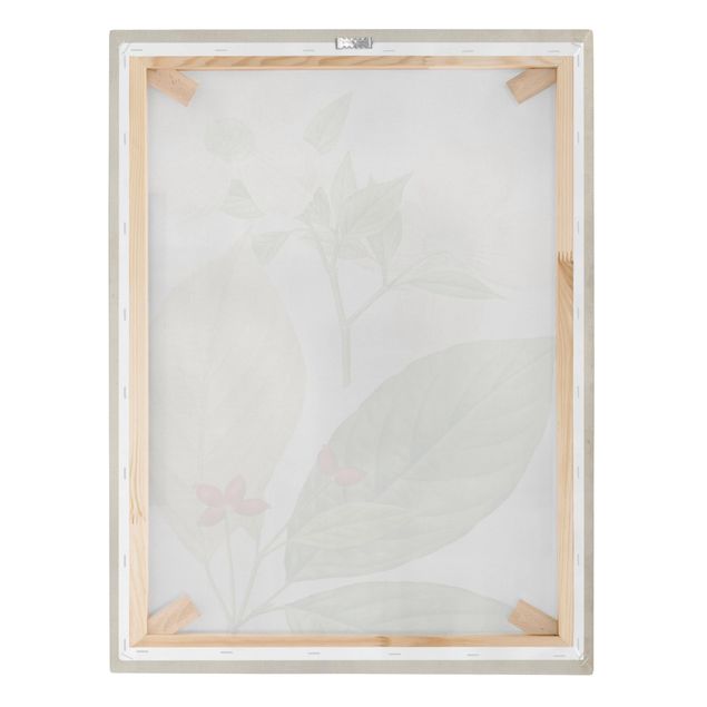 Print on canvas - Tableau Leaf Flower Fruit III