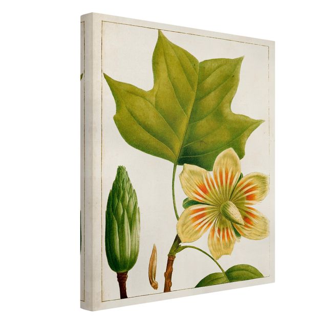 Print on canvas - Tableau Leaf Flower Fruit IV
