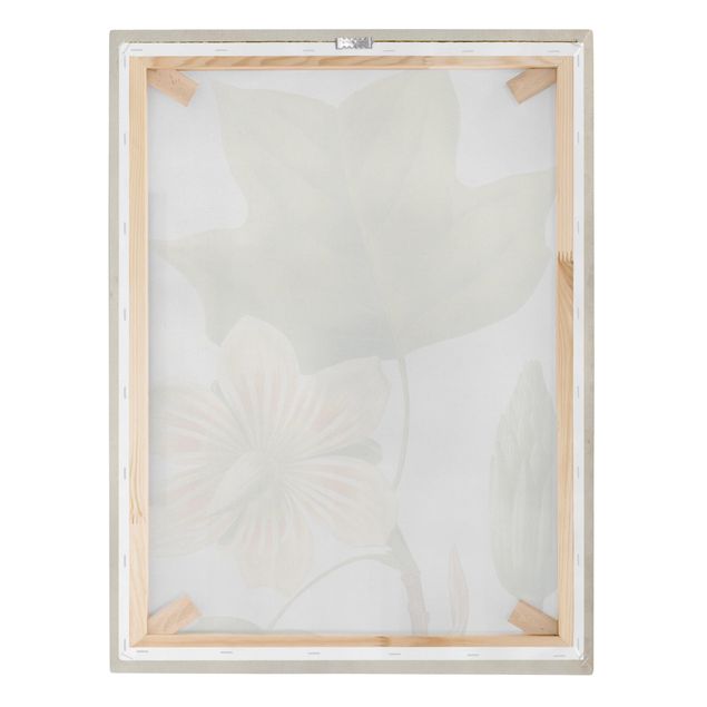 Print on canvas - Tableau Leaf Flower Fruit IV