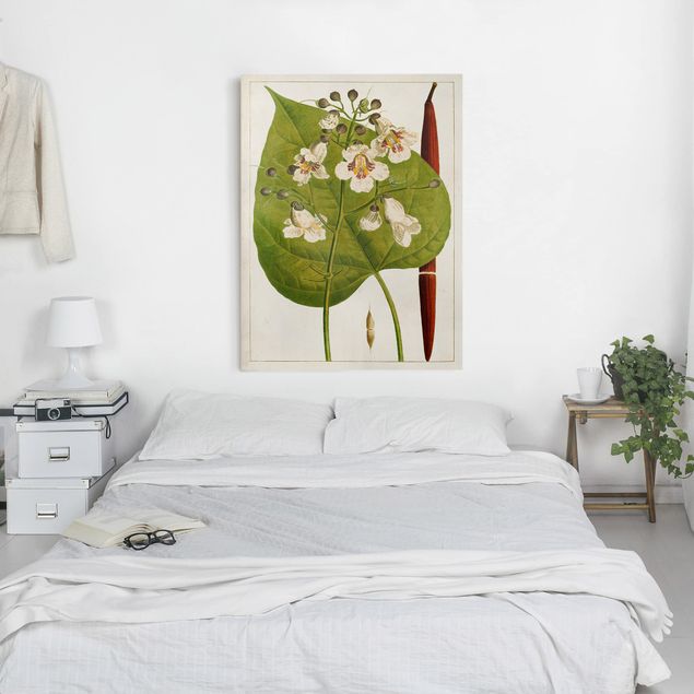 Print on canvas - Tableau Leaf Flower Fruit V