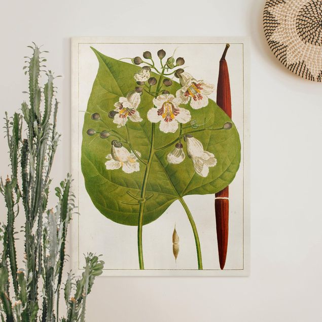 Print on canvas - Tableau Leaf Flower Fruit V