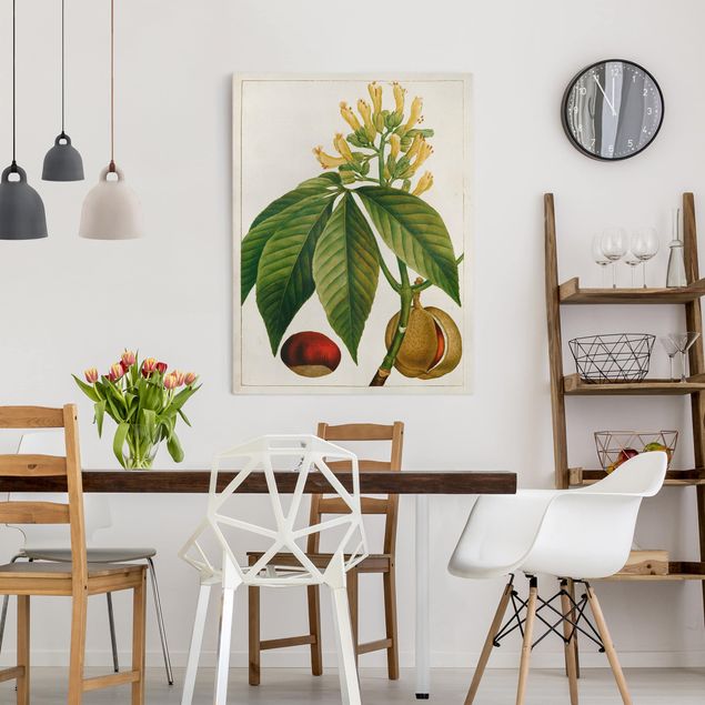 Print on canvas - Tableau Leaf Flower Fruit VI